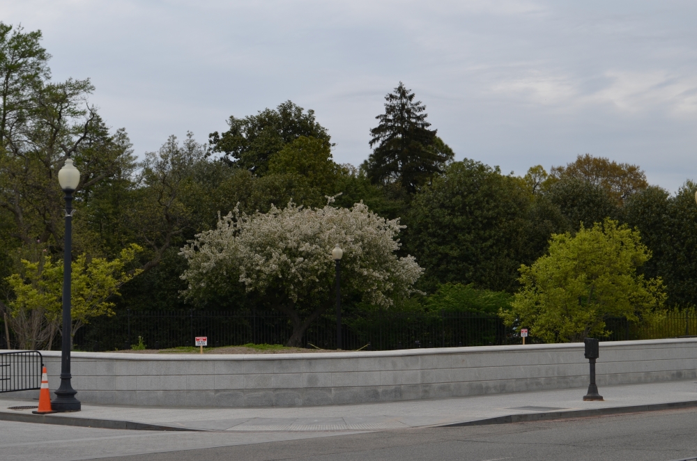 Washington DC