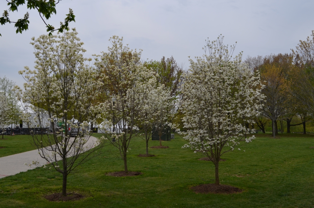 Washington DC
