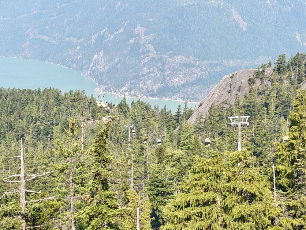 Whistler