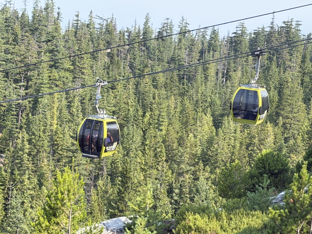 Whistler
