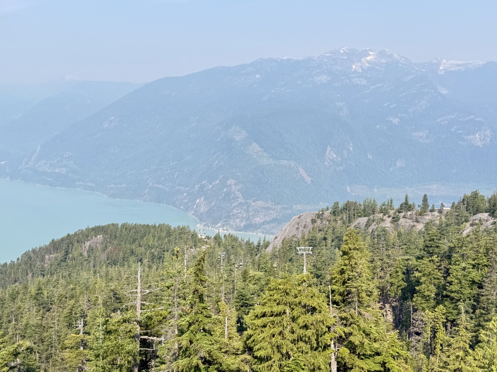 Whistler