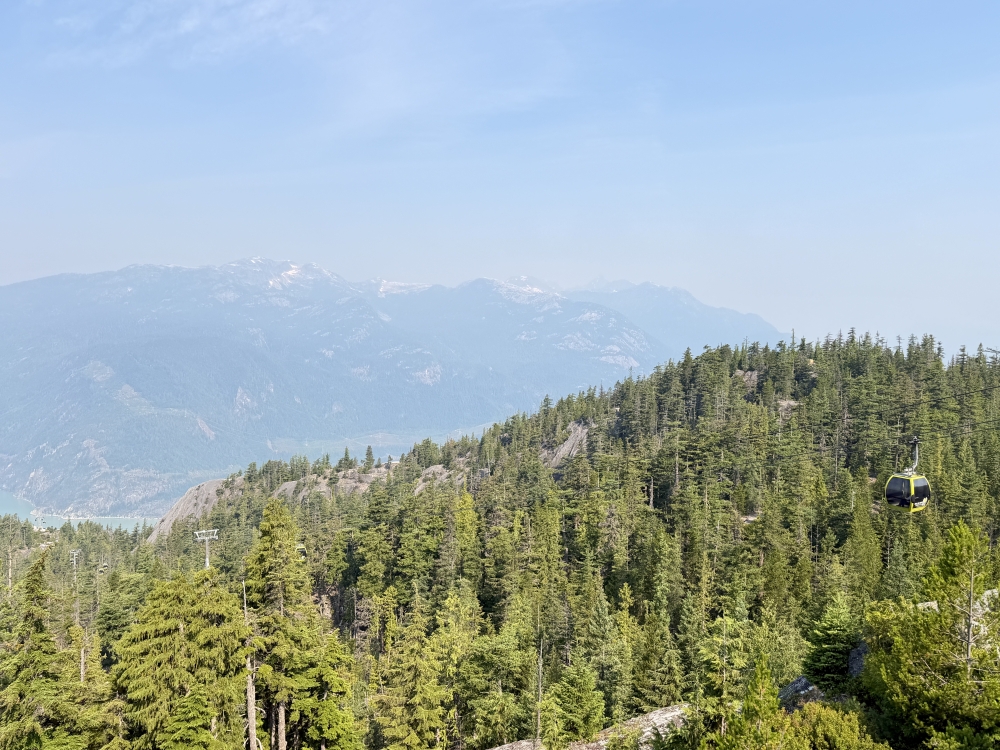 Whistler