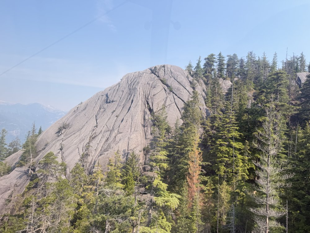 Whistler