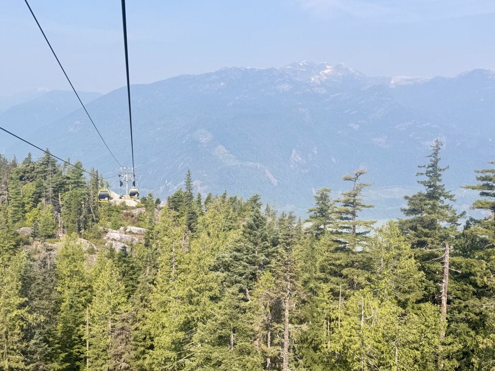Whistler