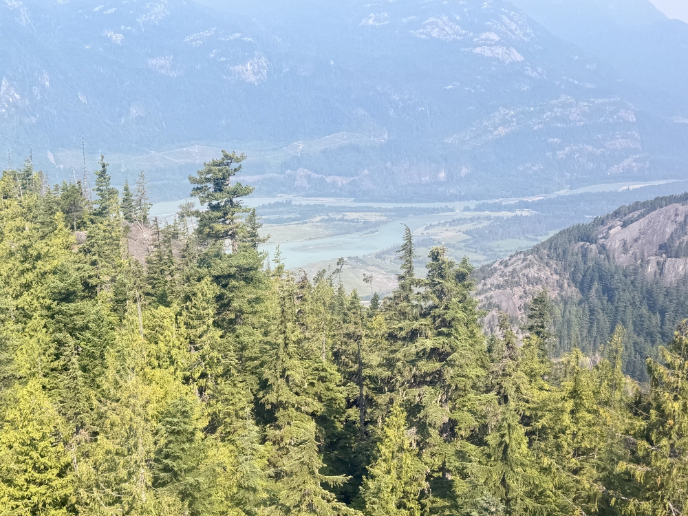 Whistler