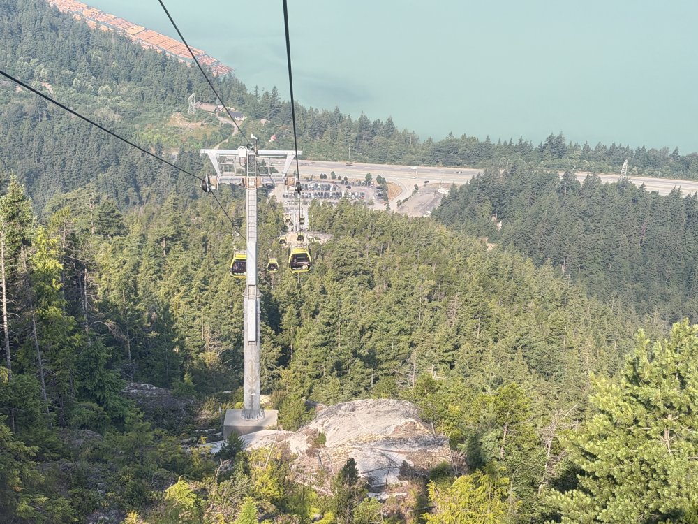 Whistler