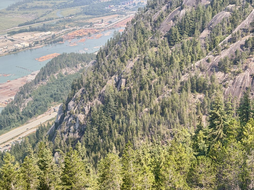 Whistler