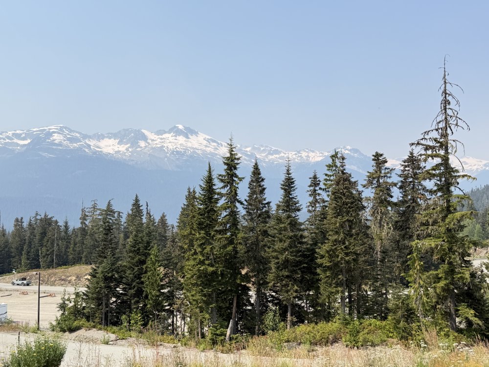 Whistler