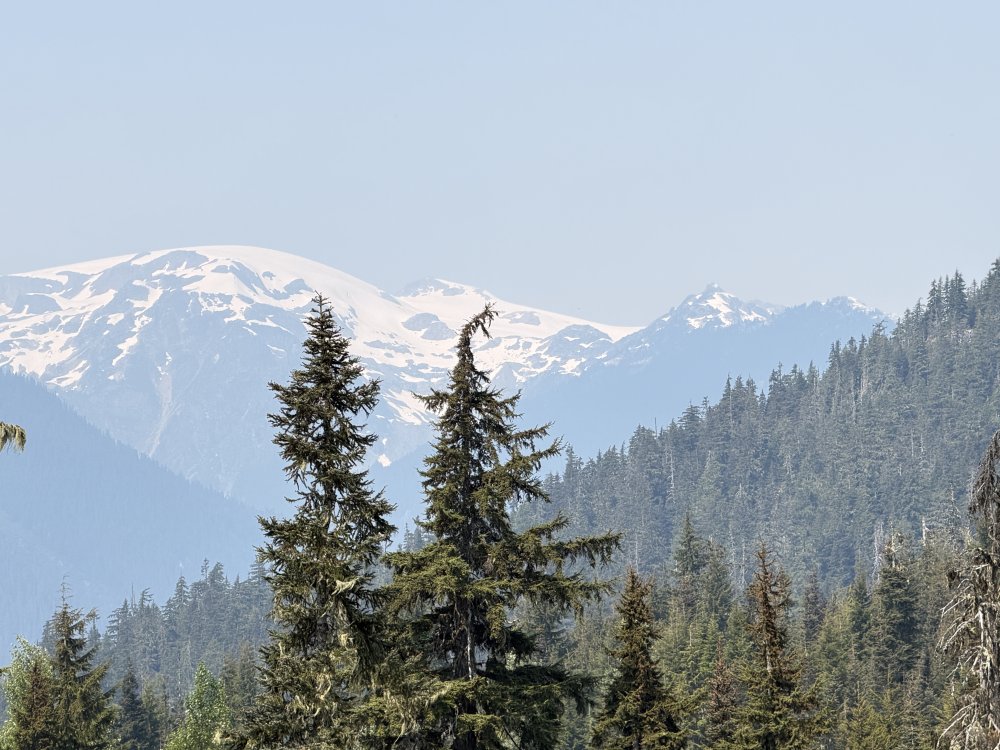 Whistler