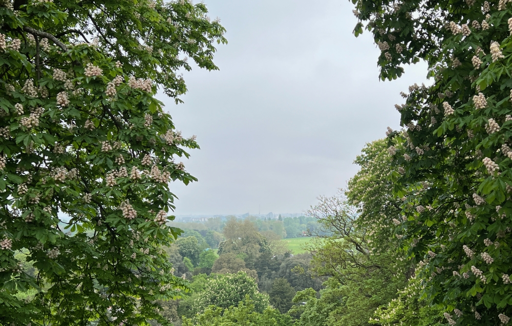 Windsor Castle