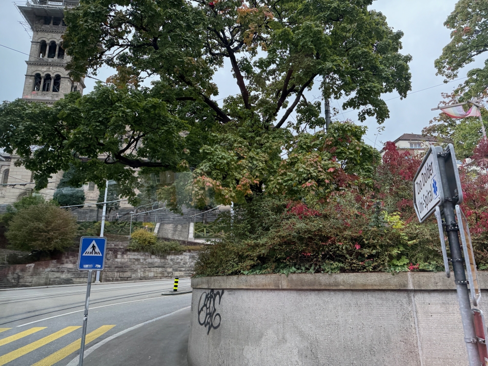 Zurich